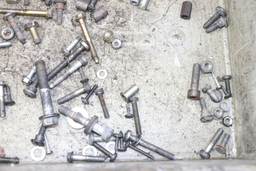 photo de VITI PIAGGIO LIBERTY 125 (1998 - 2008) - Primo piano tecnico