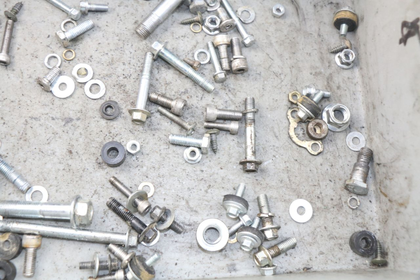 photo de SACCHETTO VITI VITE YCF LITE F 125 - Zoom sullo stato d'uso