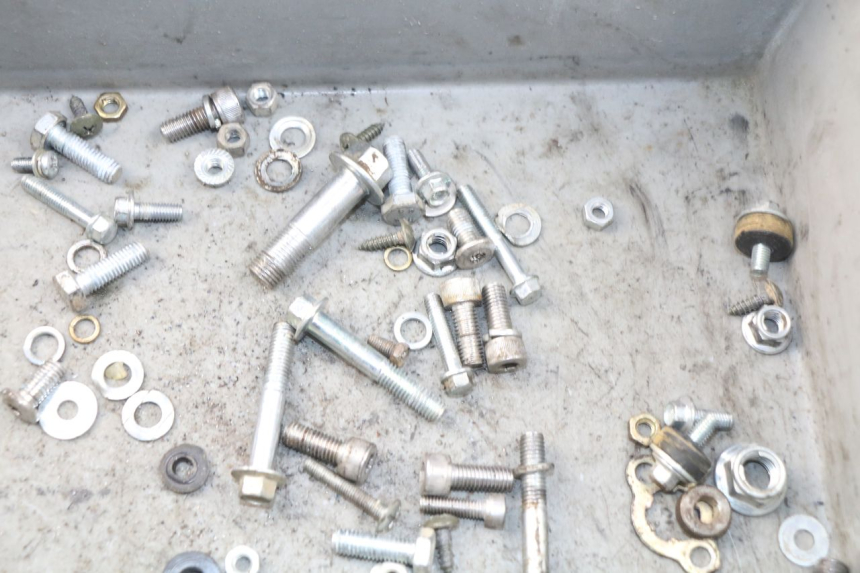 photo de SACCHETTO VITI VITE YCF LITE F 125 - Altra angolazione