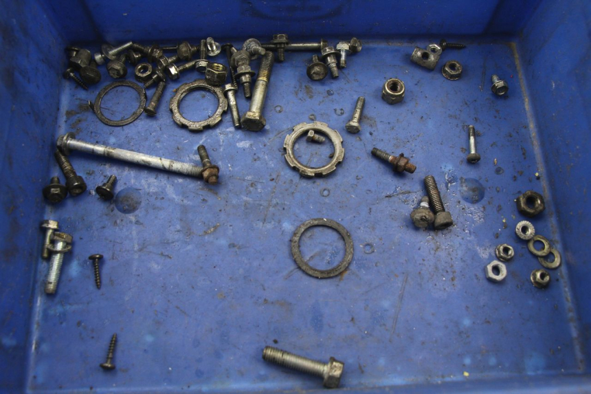 photo de SACCHETTO VITI VITE PEUGEOT LOOXOR 50 (2001 - 2004) - Vista principale