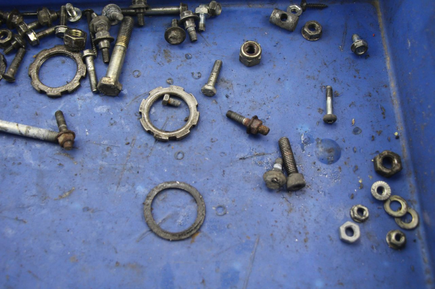 photo de SACCHETTO VITI VITE PEUGEOT LOOXOR 50 (2001 - 2004) - Dettaglio del componente