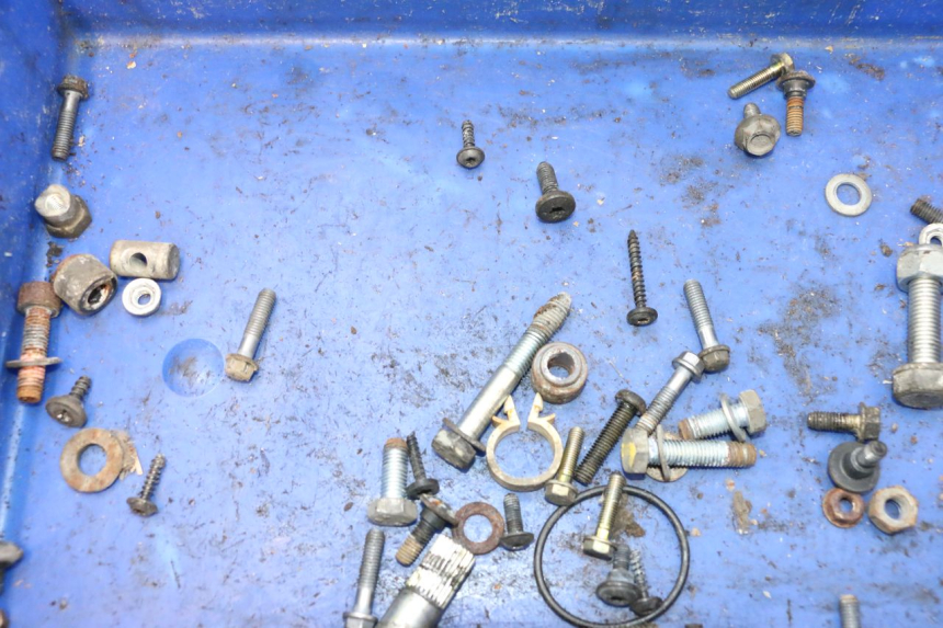 photo de SACCHETTO VITI VITE PEUGEOT LUDIX ONE 50 (2004 - 2013) - Dettaglio del componente