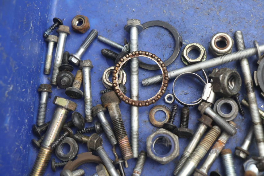 photo de SACCHETTO VITI VITE PEUGEOT LUDIX ONE 50 (2004 - 2013) - Dettaglio del componente