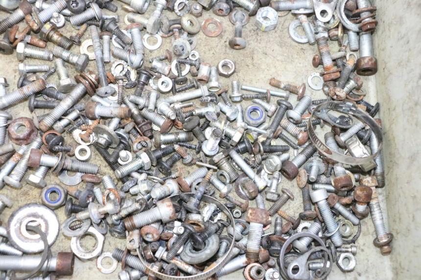 photo de SAC VITI BULLONI PIAGGIO MP3 RL 250 (2006 - 2010) - Zoom sullo stato d'uso