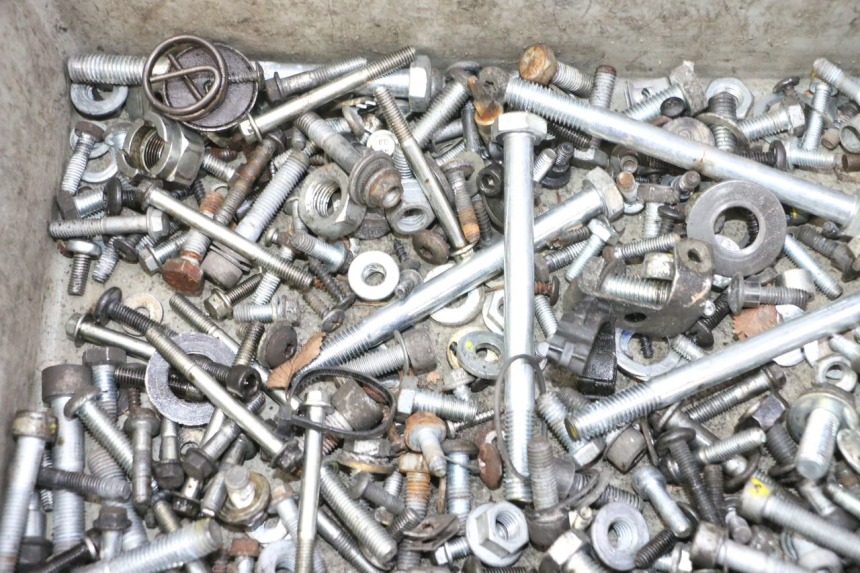 photo de SAC VITI BULLONI PIAGGIO MP3 RL 250 (2006 - 2010) - Zoom sullo stato d'uso