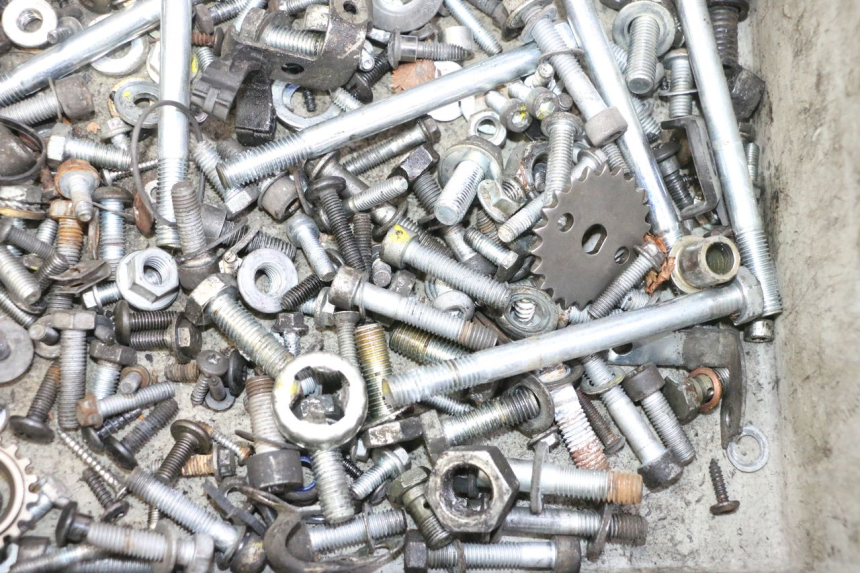 photo de SAC VITI BULLONI PIAGGIO MP3 RL 250 (2006 - 2010) - Primo piano tecnico