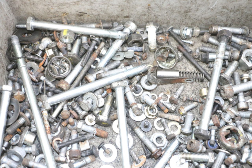 photo de SAC VITI BULLONI PIAGGIO MP3 RL 250 (2006 - 2010) - Zoom sullo stato d'uso