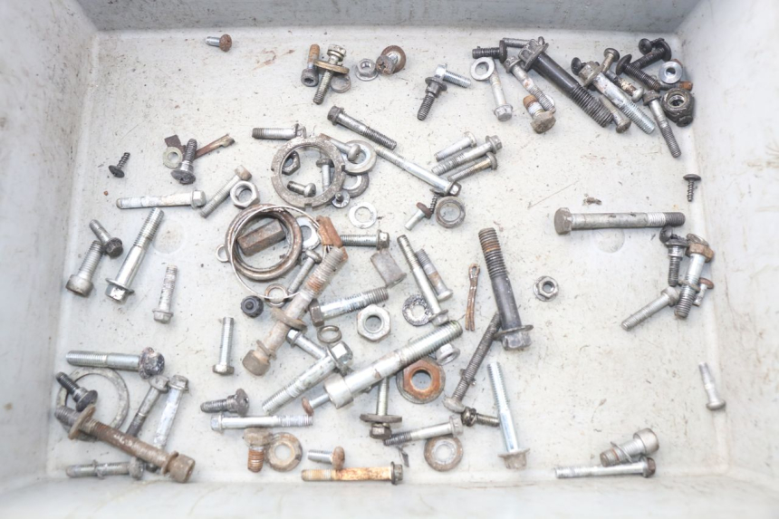 photo de SAC VITI BULLONI PIAGGIO NEW TYPHOON 50 (2010 - 2017) - Vista principale