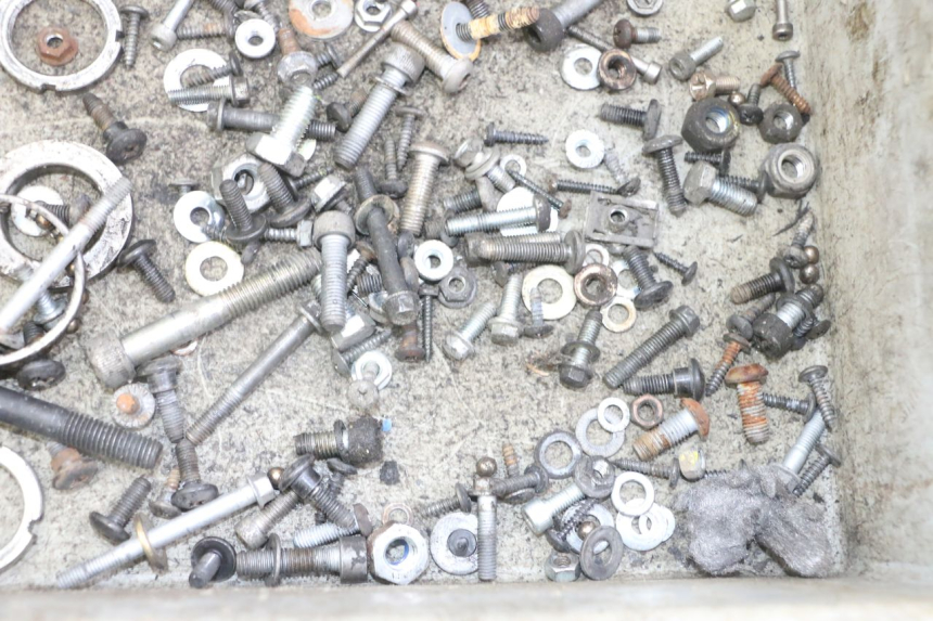 photo de SAC VITI BULLONI GILERA NEXUS 125 (2009 - 2013) - Zoom sullo stato d'uso