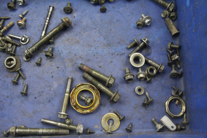 photo de SACCHETTO VITI VITE SYM ORBIT 2 TS 2T 50 (2011 - 2016) - Dettaglio del componente