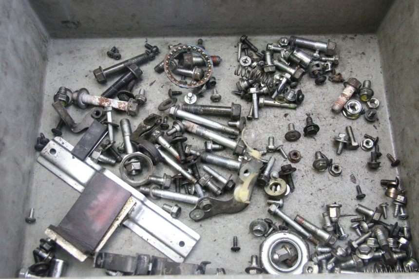 photo de SAC VITI VITE HONDA PES PS I 125 (2006 - 2012) - Vista principale