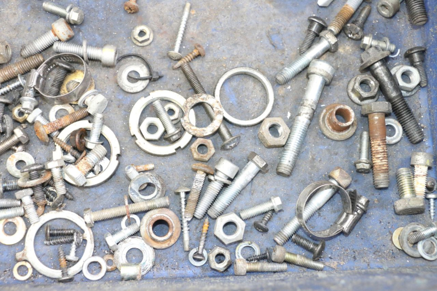 photo de SACCHETTO VITI VITE PIAGGIO BEVERLY 125 (1998 - 2005) - Zoom sullo stato d'uso