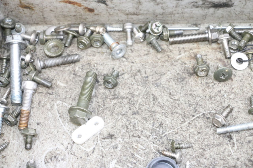 photo de VITI EFUN PUSA 1 - Primo piano tecnico