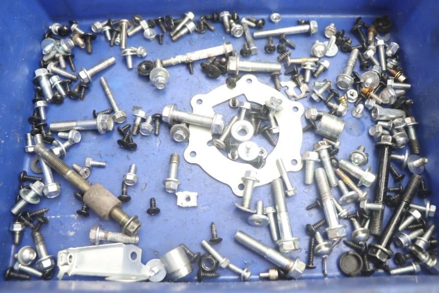 photo de VITI JM MOTORS R-MAX TECH 50 (2024 - 2026) - Vista principale