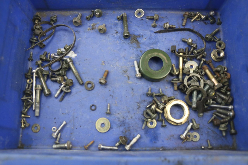 photo de SACCHETTO VITI VITE RIDE RACE 2T 50 (2012 - 2015) - Vista principale