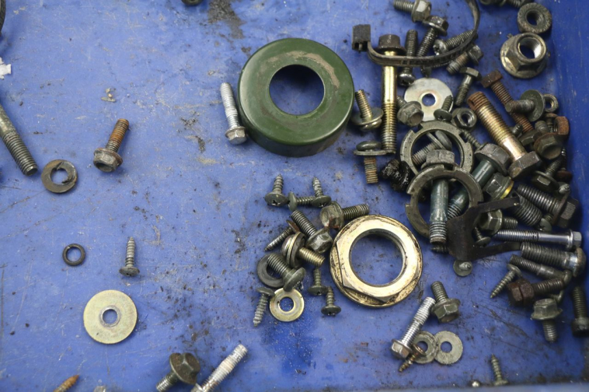 photo de SACCHETTO VITI VITE RIDE RACE 2T 50 (2012 - 2015) - Dettaglio del componente