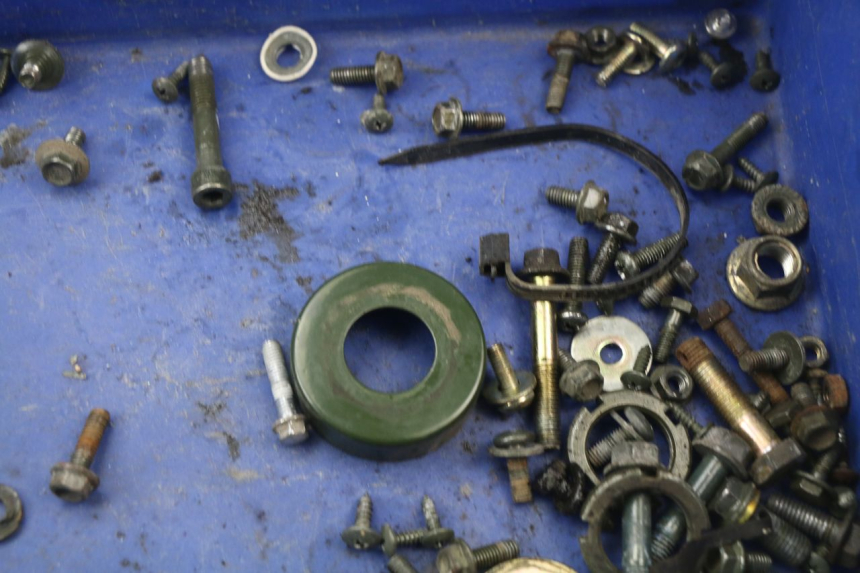 photo de SACCHETTO VITI VITE RIDE RACE 2T 50 (2012 - 2015) - Zoom sullo stato d'uso