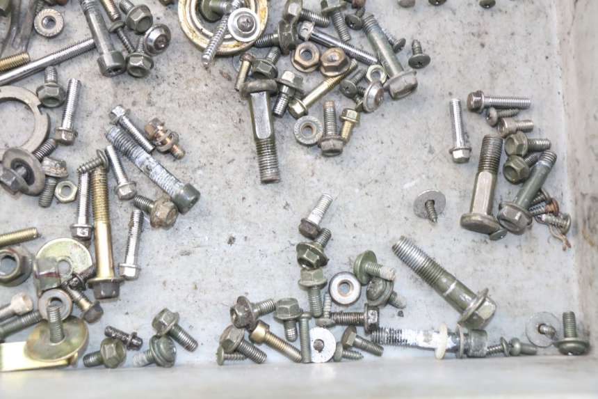 photo de SAC VITI VITE RIDE RACE 2T 50 (2012 - 2017) - Zoom sullo stato d'uso