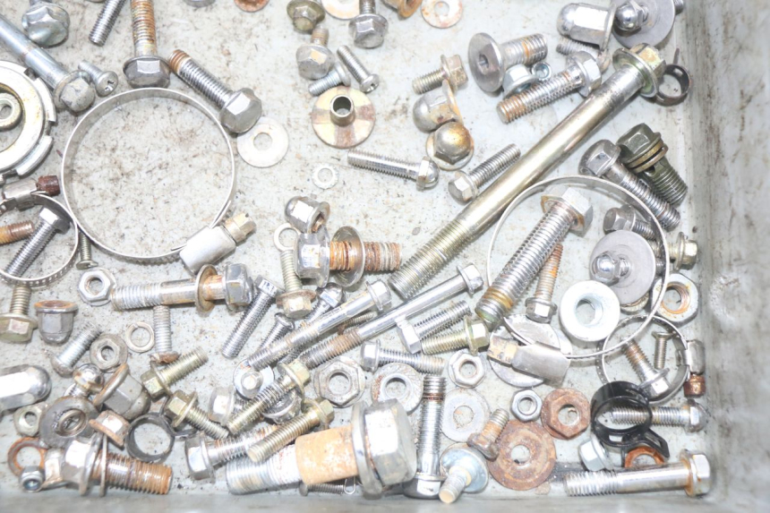 photo de VITI REGAL RAPTOR SPYDER 125 (2010 - 2018) - Primo piano tecnico