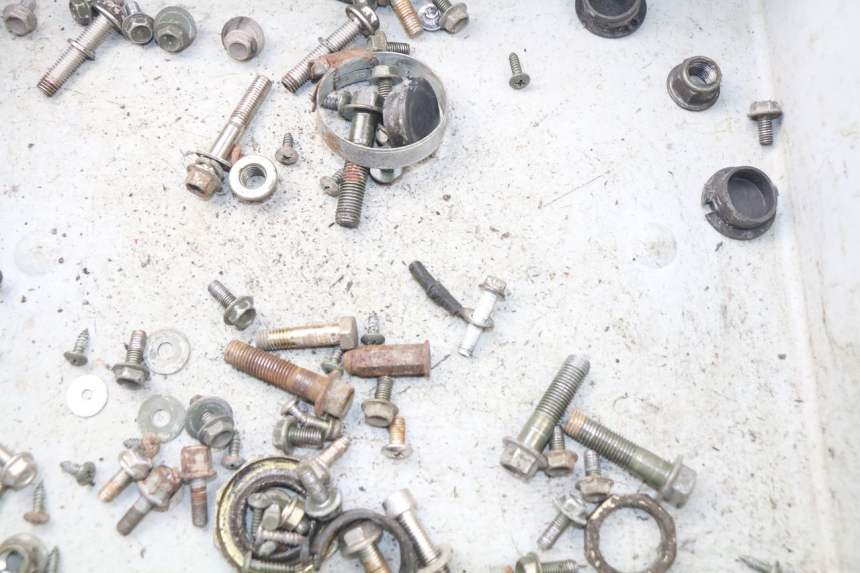 photo de SACCHETTO VITI VITE TURBHO RP 50 (2018 - 2022) - Dettaglio del componente