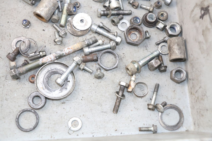 photo de SACCHETTO VITI VITE RIEJU RR 50 (1998 - 2007) - Dettaglio del componente