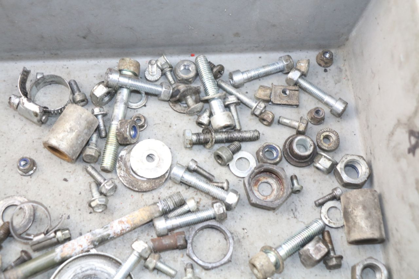 photo de SACCHETTO VITI VITE RIEJU RR 50 (1998 - 2007) - Zoom sullo stato d'uso