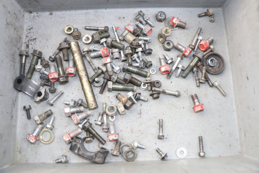 photo de SACCHETTO VITI VITE ADLY RS SUPERSONIC 50 (2005 - 2010) - Vista principale