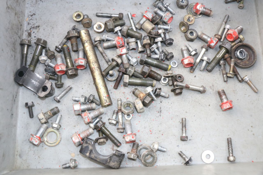 photo de SACCHETTO VITI VITE ADLY RS SUPERSONIC 50 (2005 - 2010) - Dettaglio del componente