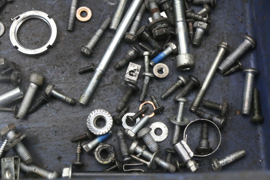 photo de SAC VITI VITE GILERA RUNNER SP 50 (2009 - 2017) - Zoom sullo stato d'uso