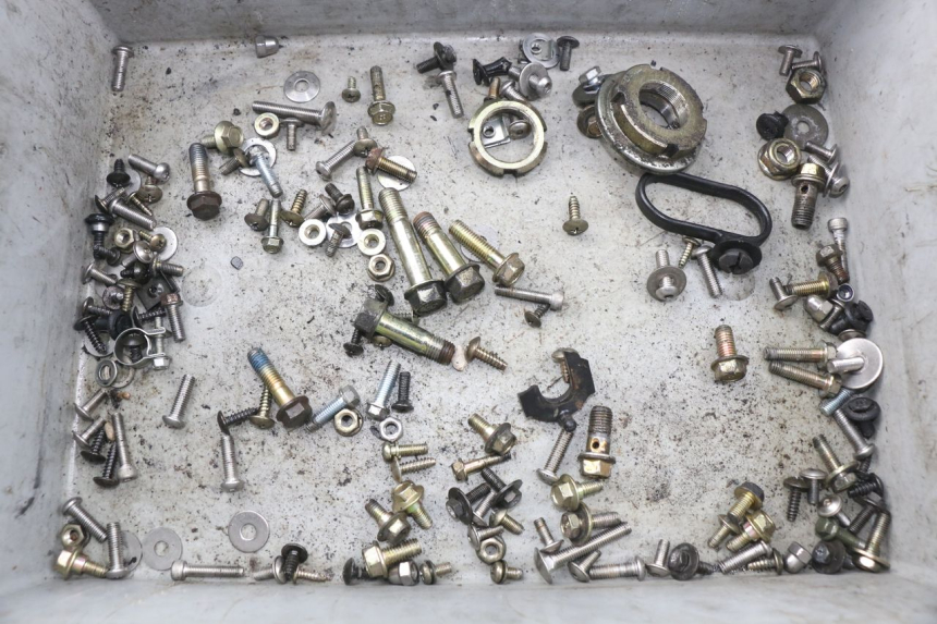 photo de SAC VITI BULLONI DAELIM S2 FI 125 (2008 - 2017) - Vista principale