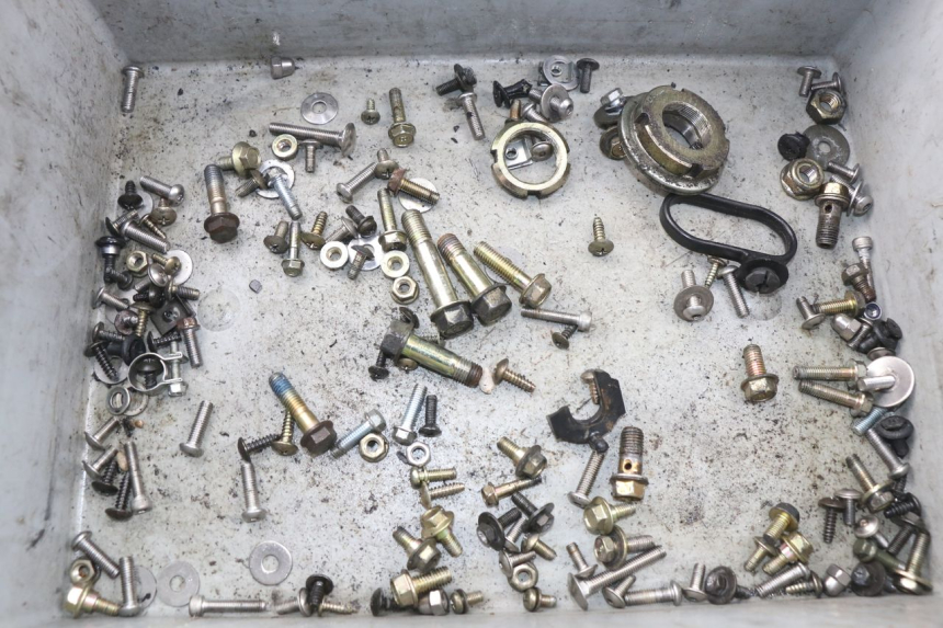 photo de SAC VITI BULLONI DAELIM S2 FI 125 (2008 - 2017) - Dettaglio del componente