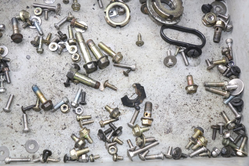 photo de SAC VITI BULLONI DAELIM S2 FI 125 (2008 - 2017) - Zoom sullo stato d'uso