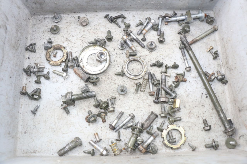 photo de SACCHETTO VITI VITE DAELIM S4 50 (2010 - 2015) - Vista principale