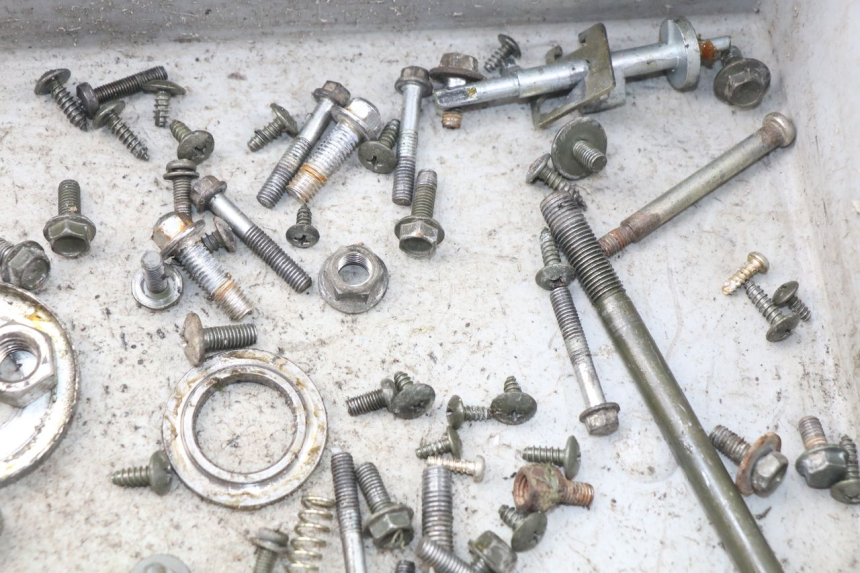 photo de SACCHETTO VITI VITE DAELIM S4 50 (2010 - 2015) - Zoom sullo stato d'uso