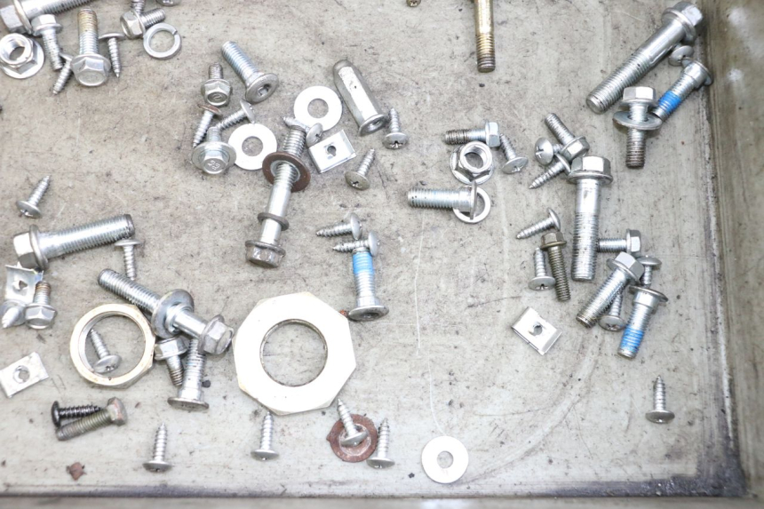 photo de SAC VITI BULLONE JM MOTORS SANTANA 50 (2014 - 2023) - Zoom sullo stato d'uso