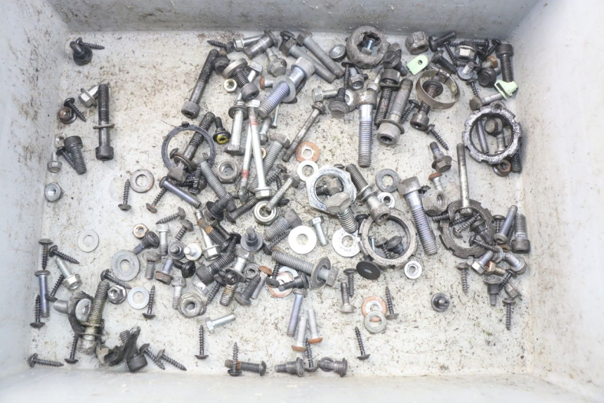 photo de SACCHETTO VITI VITE PEUGEOT SATELIS 300 (2012 - 2015) - Vista principale