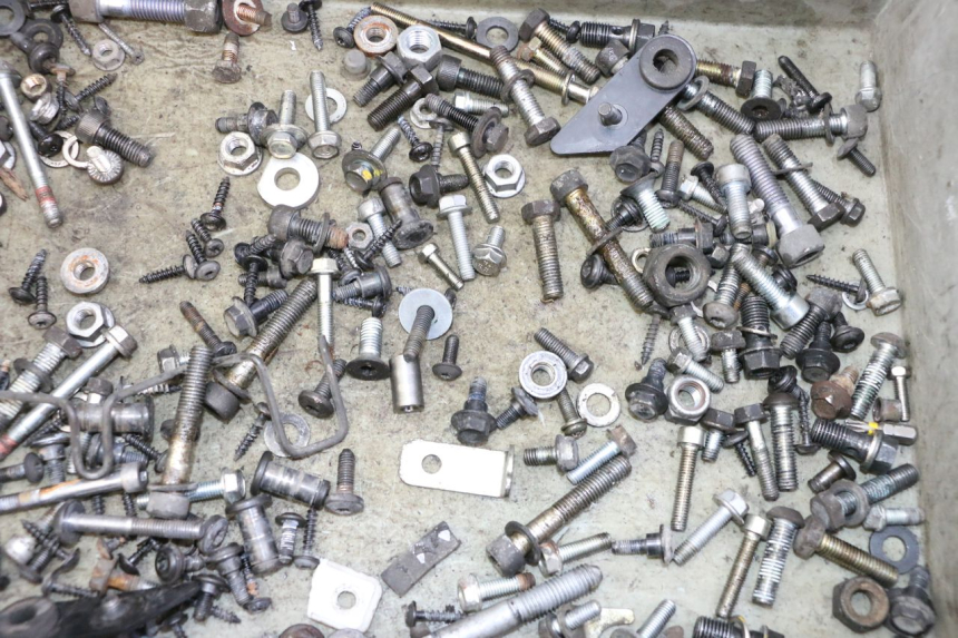 photo de SAC VITI VITE PEUGEOT SATELIS 125 (2010 - 2012) - Dettaglio del componente