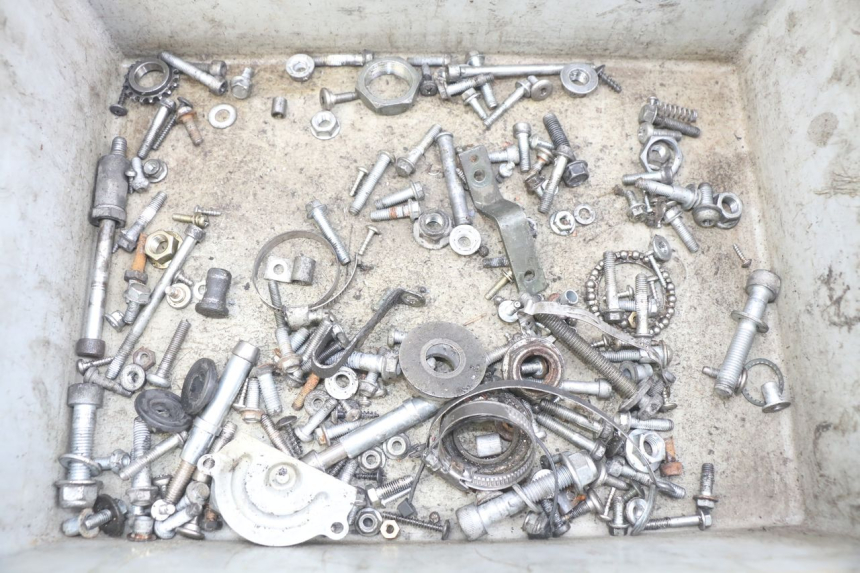 photo de SAC VITI VITE APRILIA SCARABEO 100 (2003 - 2012) - Vista principale