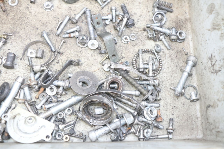 photo de SAC VITI VITE APRILIA SCARABEO 100 (2003 - 2012) - Zoom sullo stato d'uso