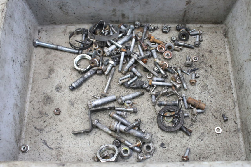 photo de SAC VITI VITE APRILIA SCARABEO 100 (2003 - 2012) - Vista principale