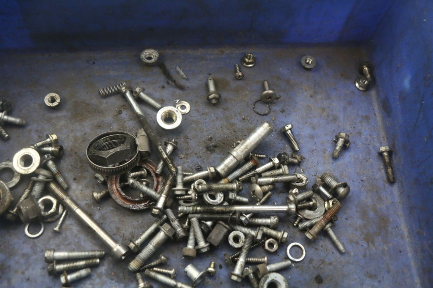 photo de SAC VITI VITE APRILIA SCARABEO 100 (2003 - 2012) - Dettaglio del componente