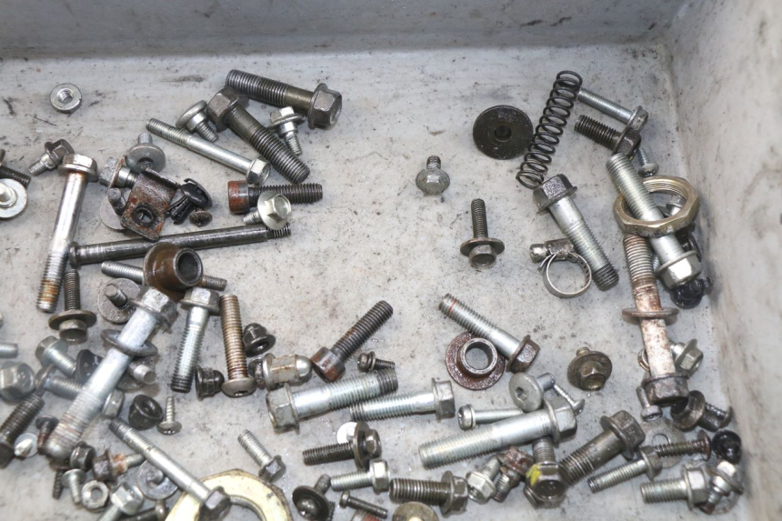 photo de SACCHETTO VITI VITE HONDA SES DYLAN 125 (2002 - 2006) - Dettaglio del componente