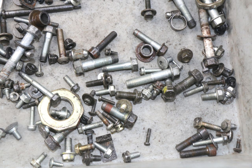 photo de SACCHETTO VITI VITE HONDA SES DYLAN 125 (2002 - 2006) - Zoom sullo stato d'uso