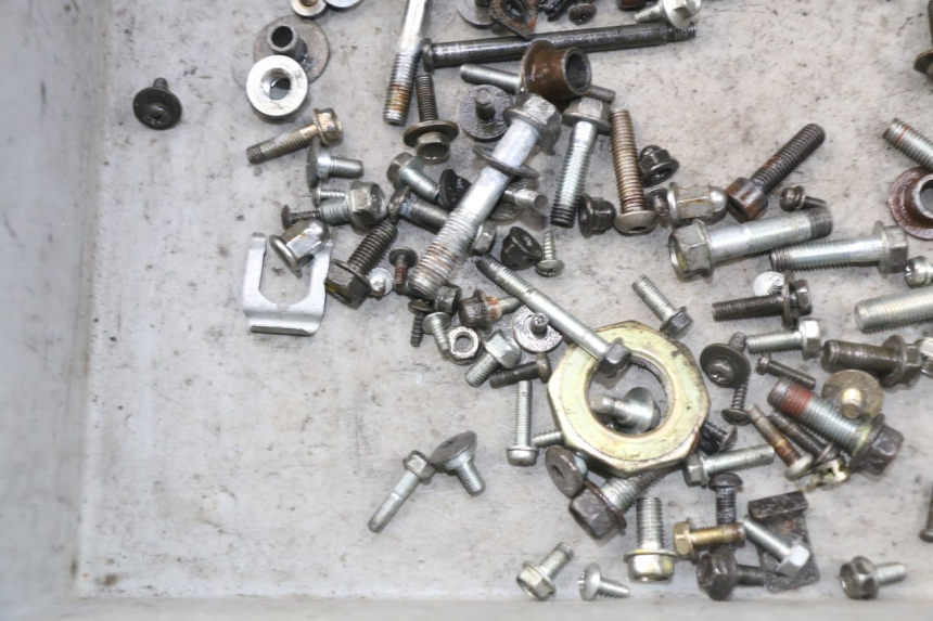 photo de SACCHETTO VITI VITE HONDA SES DYLAN 125 (2002 - 2006) - Altra angolazione