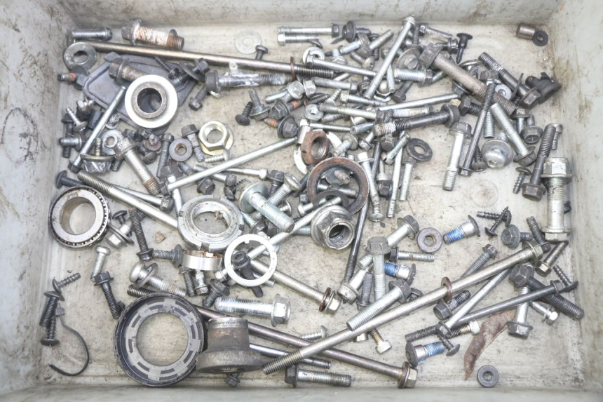 photo de SAC VITI BULLONI SUZUKI SIXTEEN 125 (2008 - 2010) - Vista principale