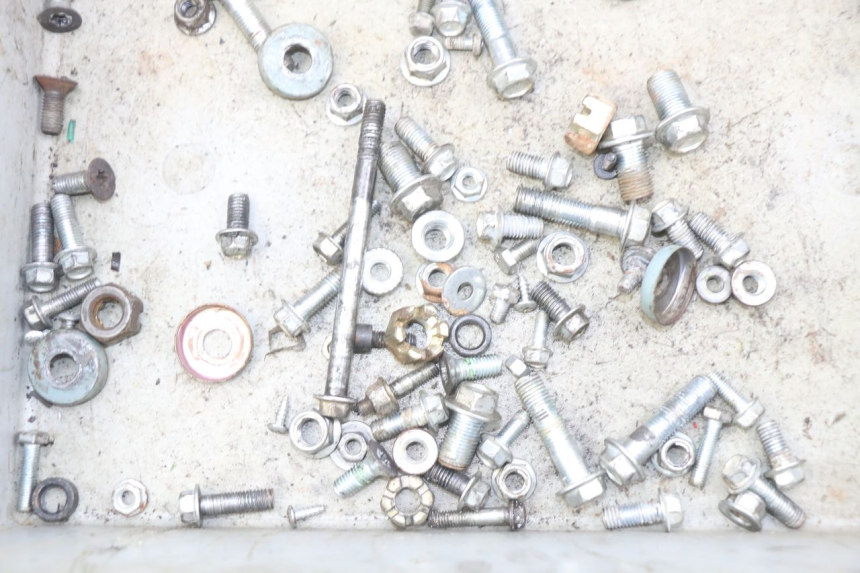 photo de SAC VITI BULLONE CHINESE QUAD SPEEDY DELUXE 125 - Zoom sullo stato d'uso