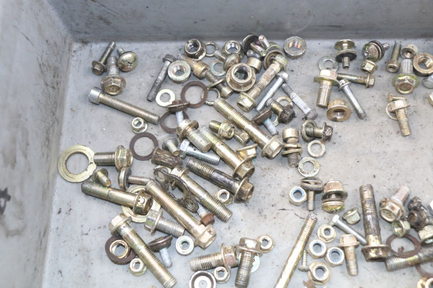 photo de SACCHETTO VITI VITE ORION SPORTRAX 125 - Zoom sullo stato d'uso