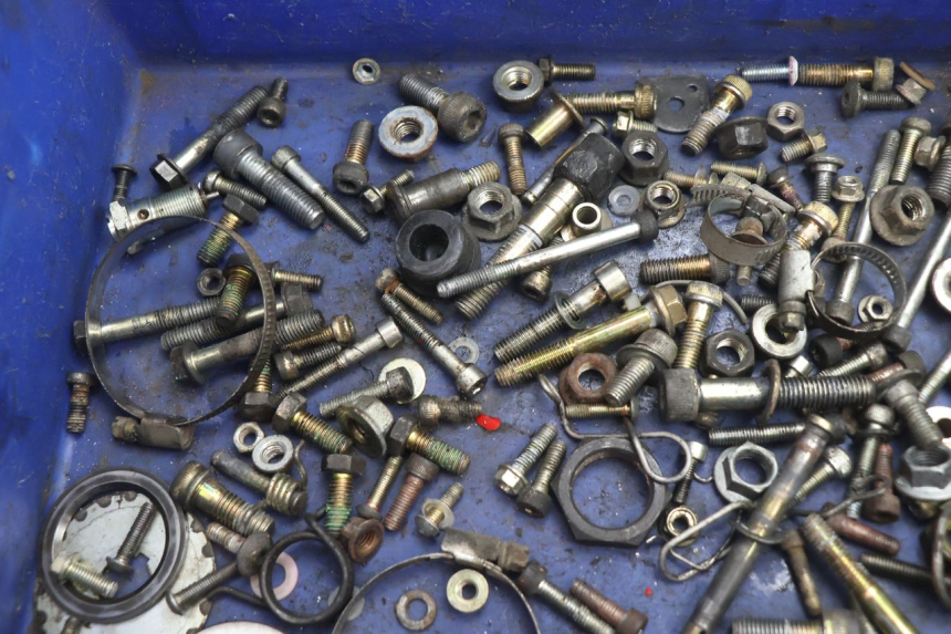 photo de VITI DUCATI SS IE DS CARENEE 1000 (2002 - 2006) - Dettaglio del componente