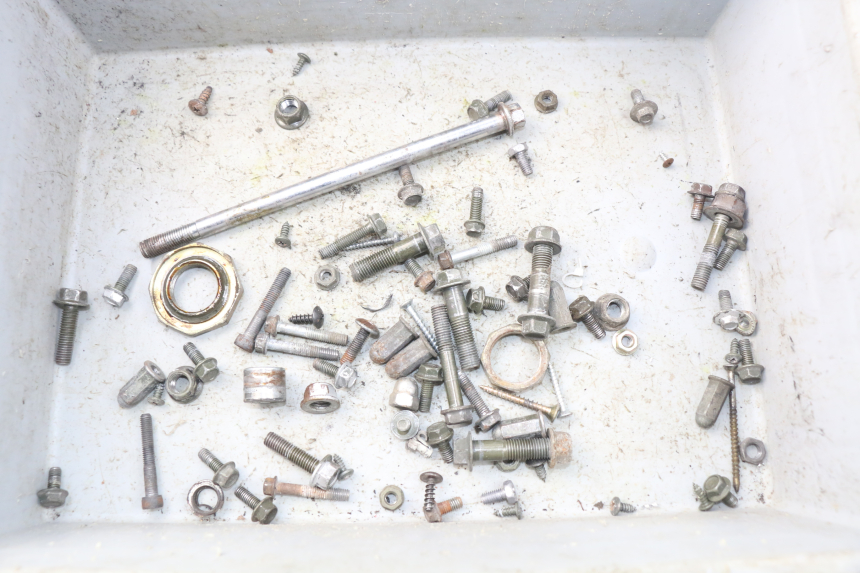 photo de SACCHETTO VITI VITE JM MOTORS SUNNY 50 (2017 - 2020) - Vista principale