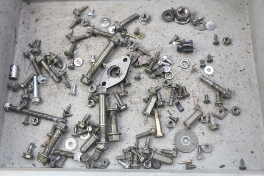 photo de SACCHETTO VITI VITE JM MOTORS SUNNY 50 (2017 - 2020) - Vista principale